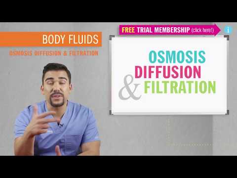 Osmosis Diffusion Filtration