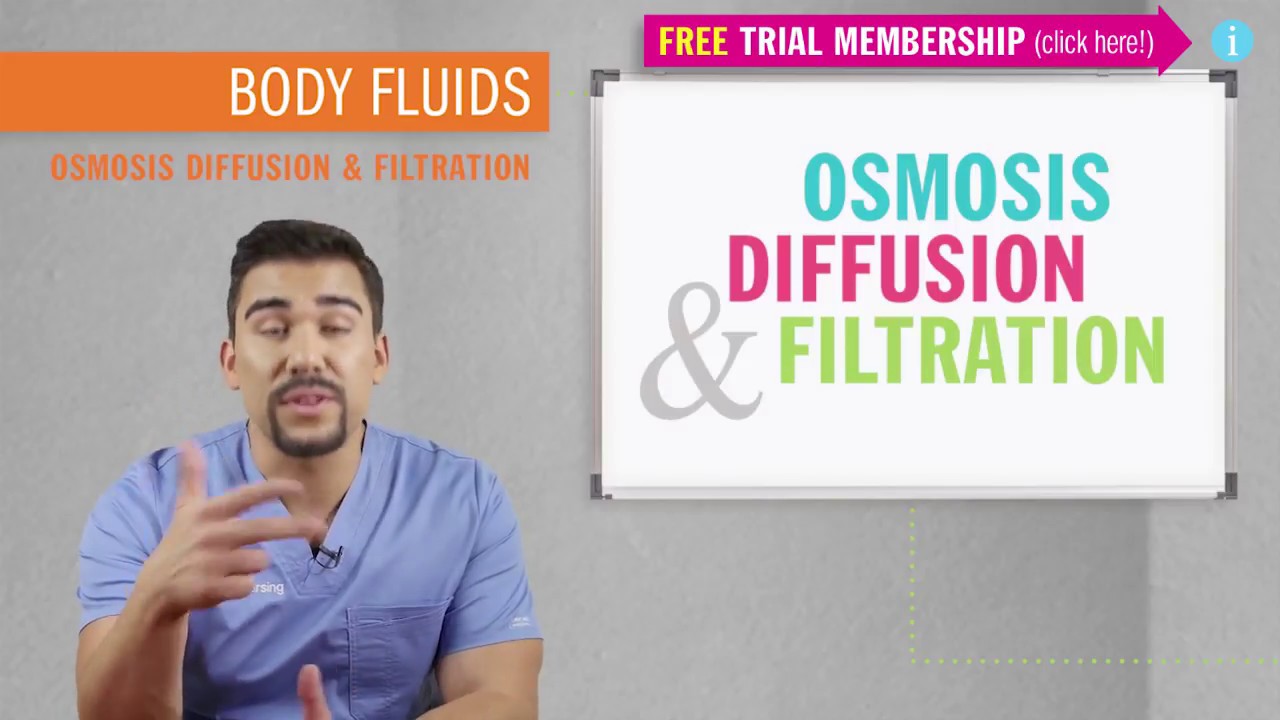 Osmosis Diffusion Filtration