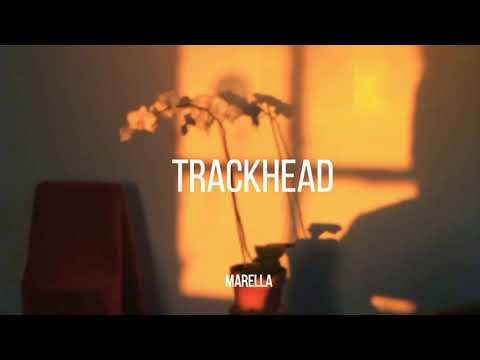 TRACKHEAD - MISS YOU EVERYDAY (LYRICS)