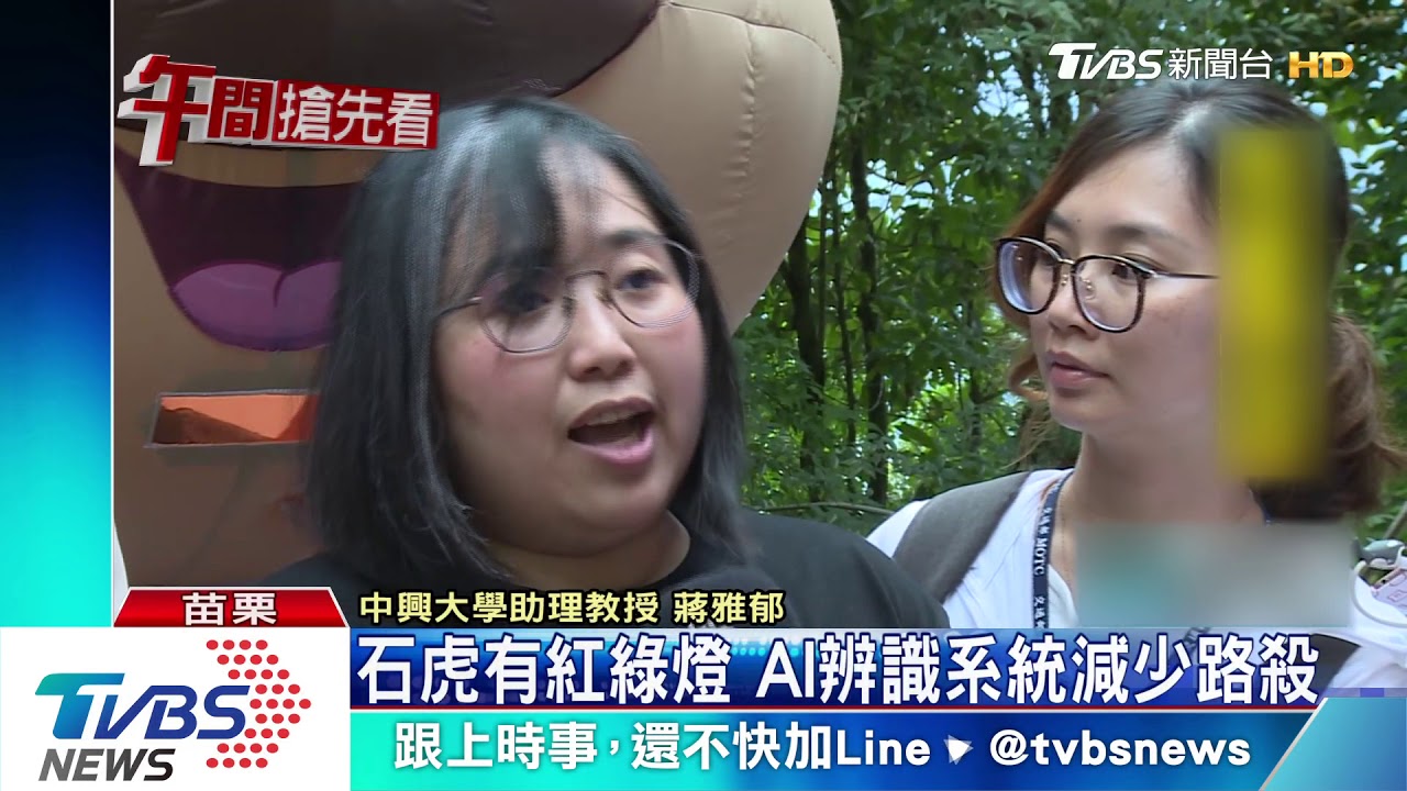石虎有紅綠燈　AI辨識系統減少路殺