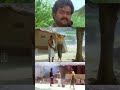 എന്തോ ഒരു ബേജാറും കൊണ്ടാണ് ഈ ചങ്ങാതി �