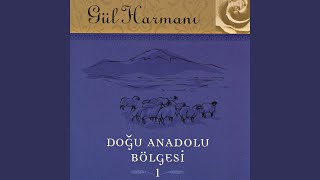 Kalenin Bedenleri