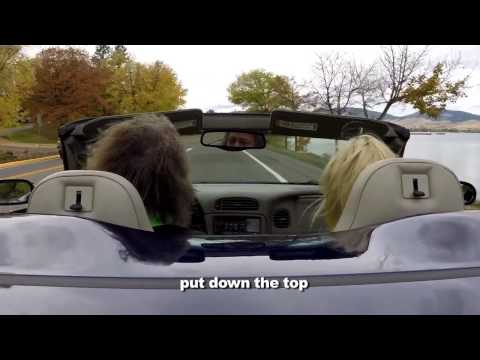 I Love Polson   Public HD mp4