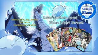 Light Novel Update/Announcement