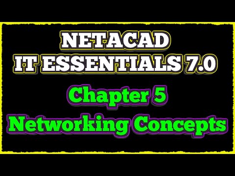 NETACAD IT Essentials 7, ✔️ Chapter 5: Networking Concepts