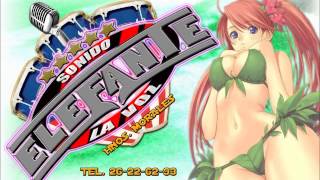 SONIDO ELEFANTE LA VOZ (me enamore otra vez)