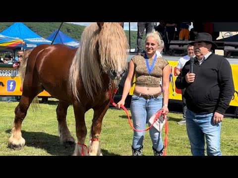 Parada cailor de frumusețe de la Gilău‼️ partea 2