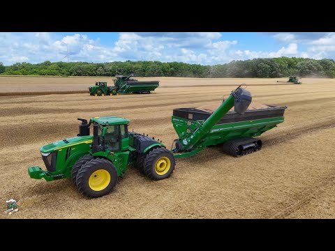 Wheat Harvest 2025 at Crossroad Farms in Indiana