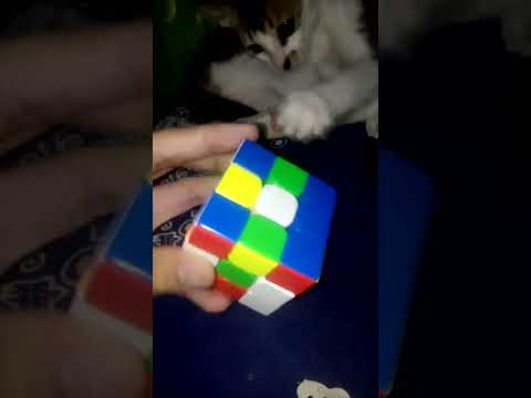 How to be fast at LSE #shorts [Fahmi Aulia Rachman]