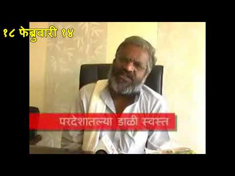 बघा पाशा पटेलांचं आंदोलन, हरभर्‍याचं यंदाही अवघड