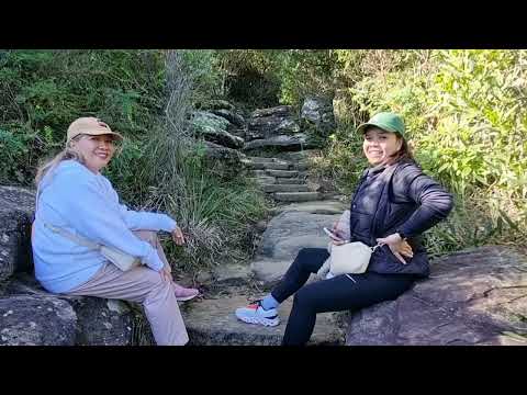 Alay Lakad Palm Beach JojoLoida