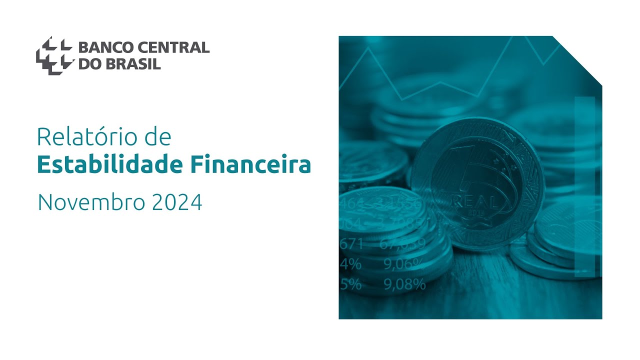 Relatório de Estabilidade Financeira | Novembro 2024