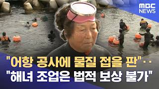 어항 공사로 해녀 피해‥ "잡을 게 없어 물질 접을 판" (2026.06.09/뉴스데스크/포항MBC)