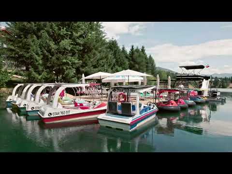 Ponton Colibita Bistrita