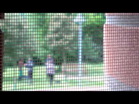 COSA SUCCEDE AL PARCO PERTINI DI PISTOIA, 10/05/2016