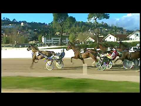 Trotto 19/01/2021 - 5ª corsa