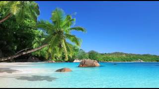 BRANDplanetTV: AFRICA DIASPORA TV ADTV COMMERCIAL. WATCH:
