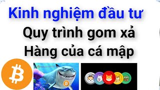 Phân tích bitcoin altcoin hôm nay ngày 25/6 cập nhật thị trường crypto mới nhất hôm nay