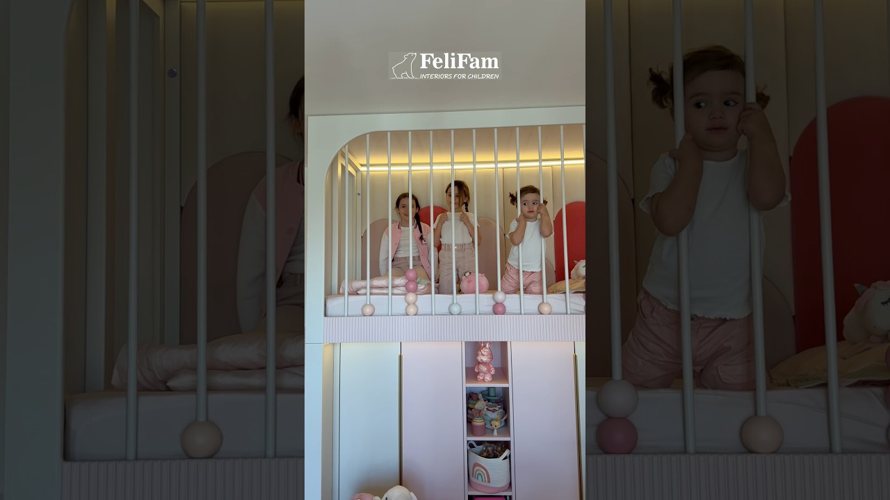 Відео проєкту FeliFam