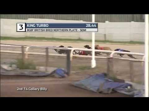 2019 BGBF NORTHERN PLATE - 1ST SEMI - T3 KING TURBO