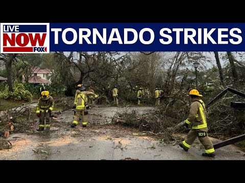 Video | Tornado slams Lake Mary, Florida | LiveNOW from FOX