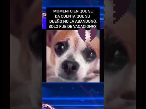 Solo quería volver a su hogar con su familia