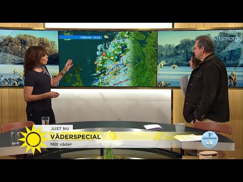 Vintern har tagit ett tillfälligt uppehåll i södra Sverige - Nyhetsmorgon (TV4)