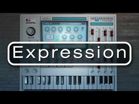 MKSensation Xtreme Adjust Expression and Velocity Volume