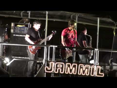 FESTA TRIO 2009 - Jammil, Claudia Leite, Araketu, Negra Cor :: FestasDF.com