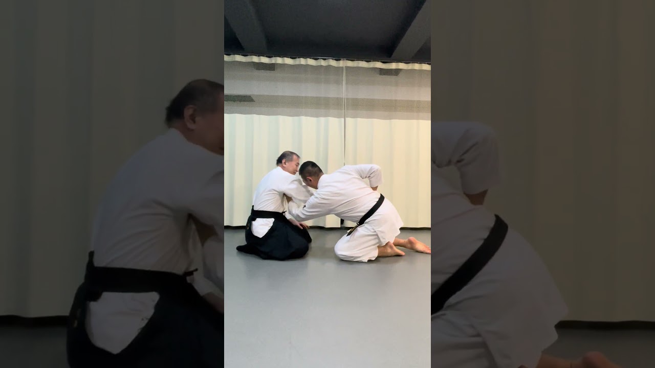 座捕り胸取り胴払い入り身落とし　Irimi-nage  佐川派大東流合気武術　合気錬体会　佐川幸義　吉丸慶雪　有満庄司　合気道　#Daito-ryu  #Aikido  #Shorts