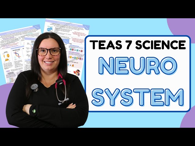 Understanding the Neurological System: A Comprehensive Guide for ATI ...