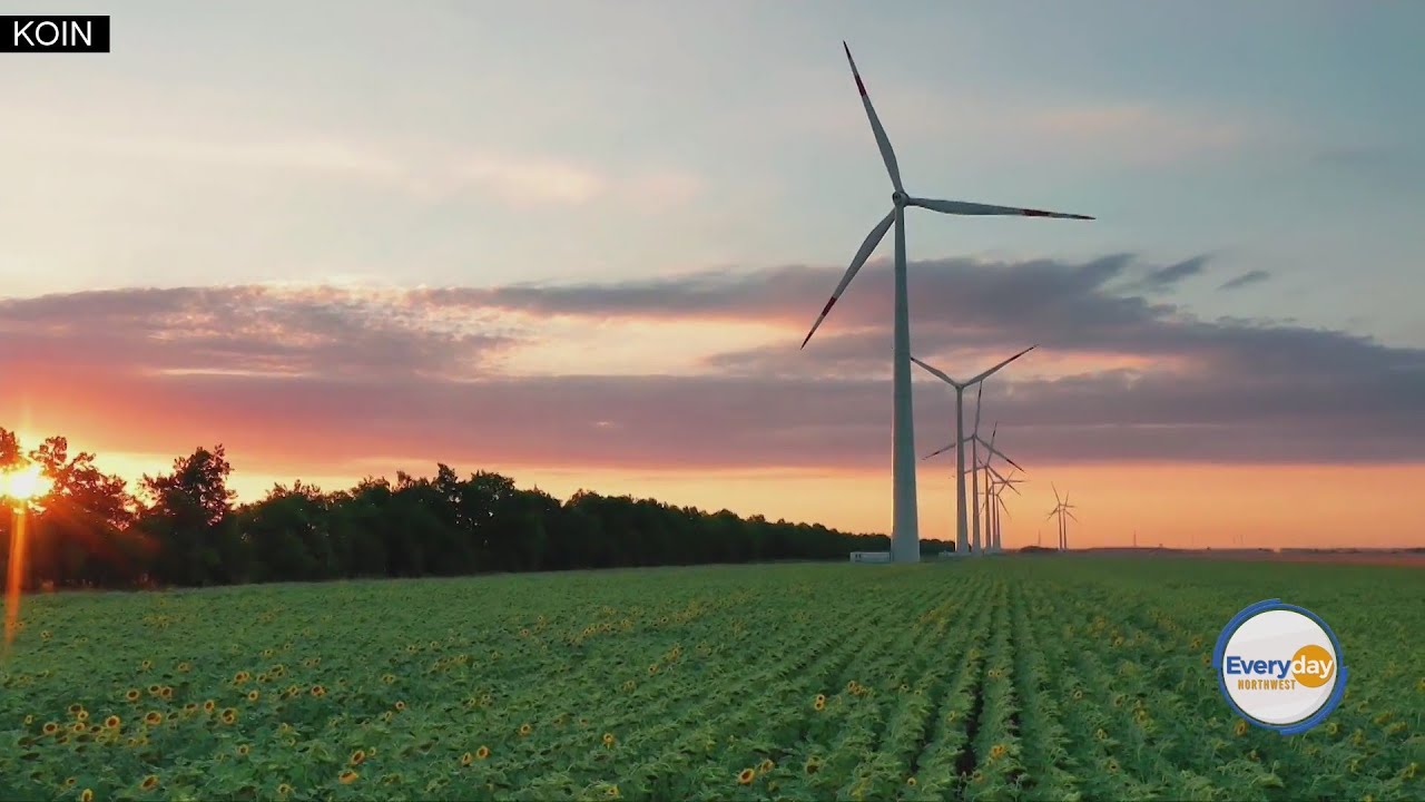 The Best Solution For Climate Change