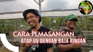 Download lagu CARA‼️Pemasangan Atap UV dengan Baja Ringan #budidayaanggur #greenhouse #anggur mp3 Download lagu CARA‼️Pemasangan Atap UV dengan Baja Ringan #budidayaanggur #greenhouse #anggur mp3