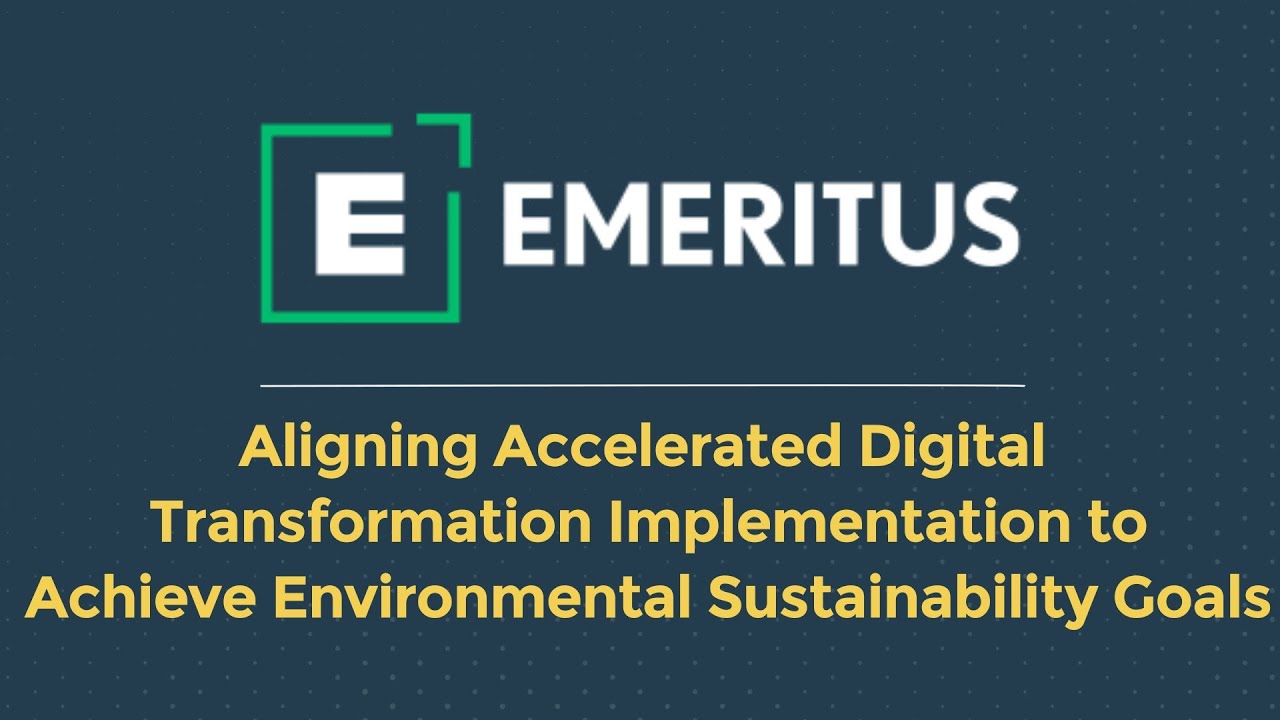 How Diversity and Sustainability are Key to Digital Transformation
