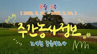 ✨주간농사정보 ] 8월 3째주 (2025. 8. 18. ~ 8. 24.)