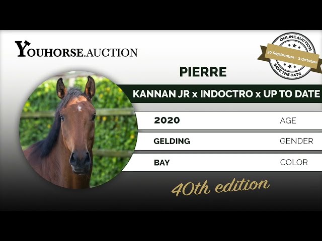 Pierre ridden @ Home