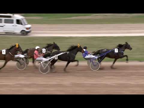 2021.05.01. 07. futam - ROYAL FLESH HENDIKEP