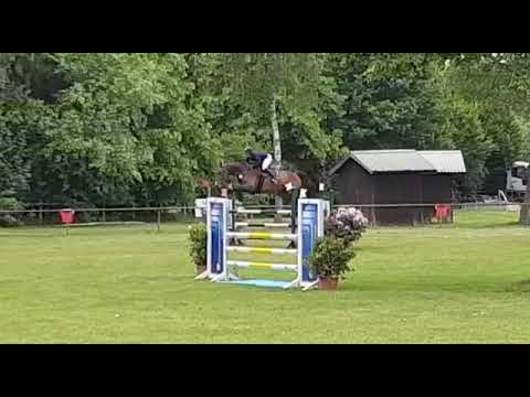 Mare 2013 -CONNOR. X Clearway,