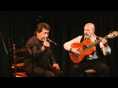 CASA PATAS 44 GUILLERMO MANZANO