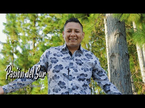 PASIÓN DEL SUR - eso es amor VIDEO OFICIAL✓(2020)