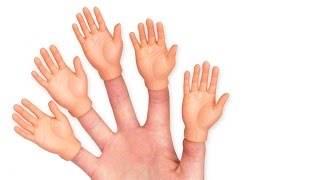 FINGER HANDS -- LÜT #45