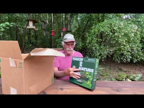 My Kingsyard Birdfeeders.