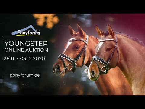 2j. Stute v. Diamond Touch - FS Don´t Worry