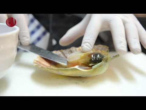 The Epicurean Express with Björn Frantzén