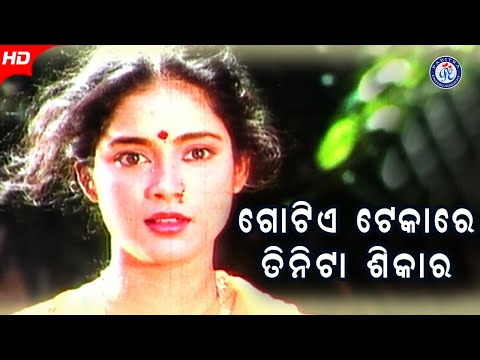 Gotiye Tekare Tinita Shikar ଗୋଟିଏ ଟେକାରେ ତିନିଟା ଶିକାର