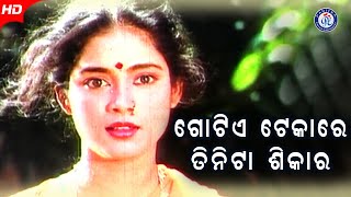 Gotiye Tekare Tinita Shikar ଗୋଟିଏ ଟେକାରେ ତିନିଟା ଶିକାର