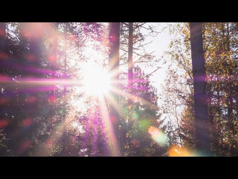 BUONI PROPOSITI 2019 🌱🌷 CONSIGLI per INIZIARE al MEGLIO il NUOVO ANNO