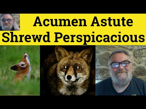 🔵 Acumen Meaning Astute Examples Shrewd Definition Perspicacious Defined - Acumen Astute Shrewd