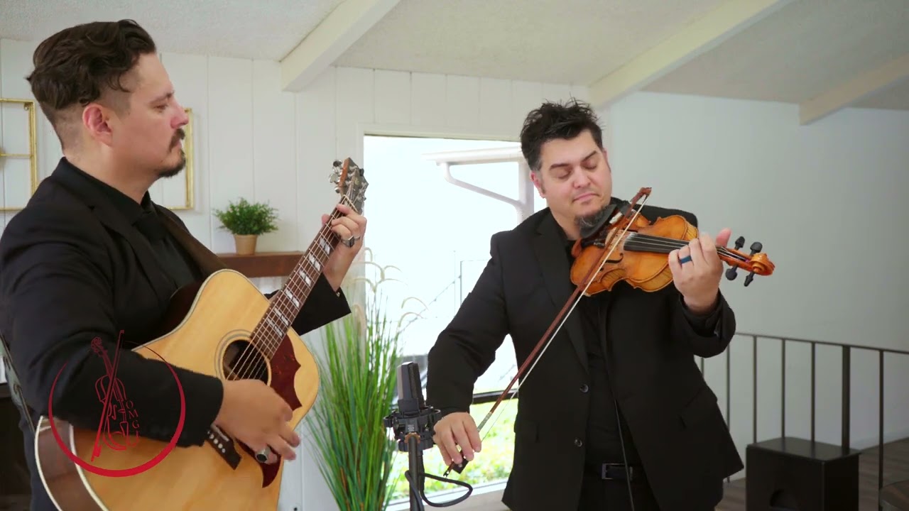 Ocdamia Music Group Event Music Performance