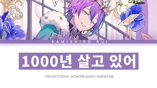 Cover art for 1000년살고있어 루이